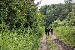 Не попадите в лесную  ловушку