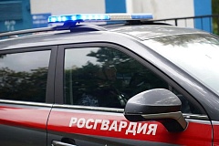 В Москве росгвардейцы задержали иностранца, пытавшегося уклониться от процедуры обязательного медицинского освидетельствования